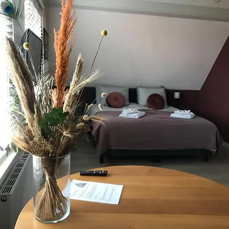 לינה וארוחת בוקר Bed & Koffie, Op De Spinbaan דה בורג