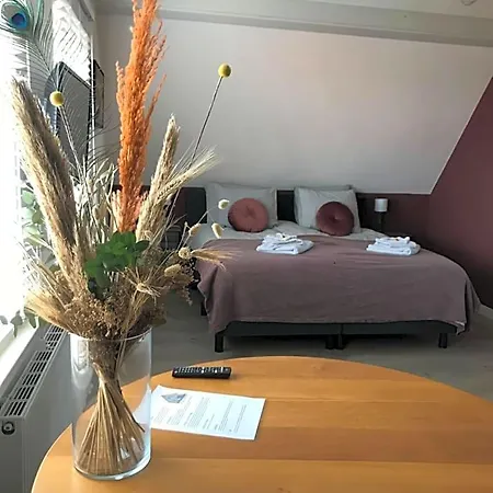 Bed & Koffie, Op De Spinbaan Bed & Breakfast Den Burg