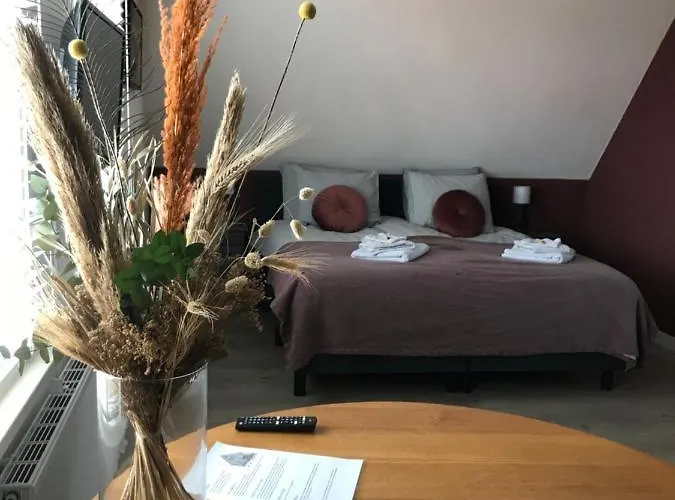 B&B Bed & Koffie, Op De Spinbaan 덴버크